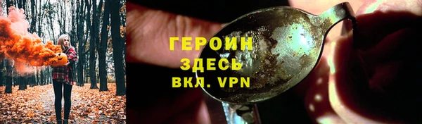 амф Ельня