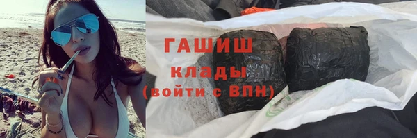 амф Ельня