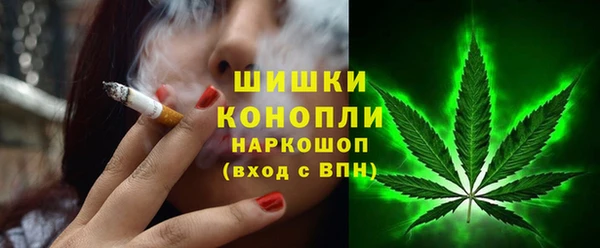 стаф Елабуга