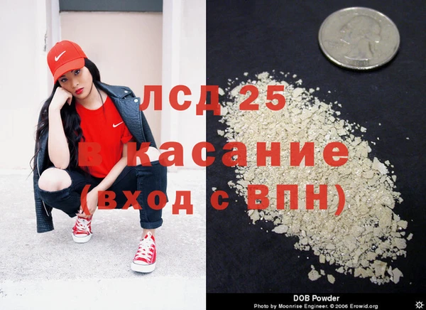 амф Ельня
