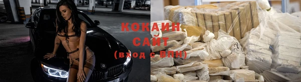 стаф Елабуга