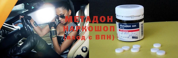 амф Ельня