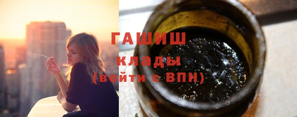 амф Ельня