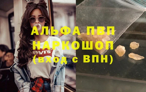 стаф Елабуга