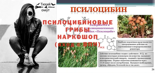 стаф Елабуга