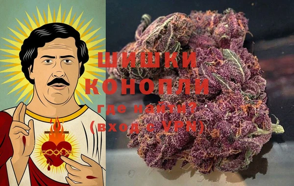 стаф Елабуга