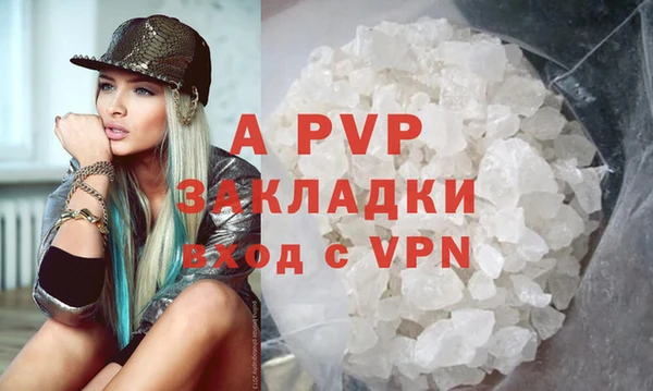 стаф Елабуга