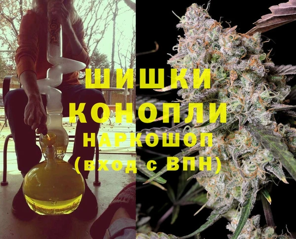 стаф Елабуга